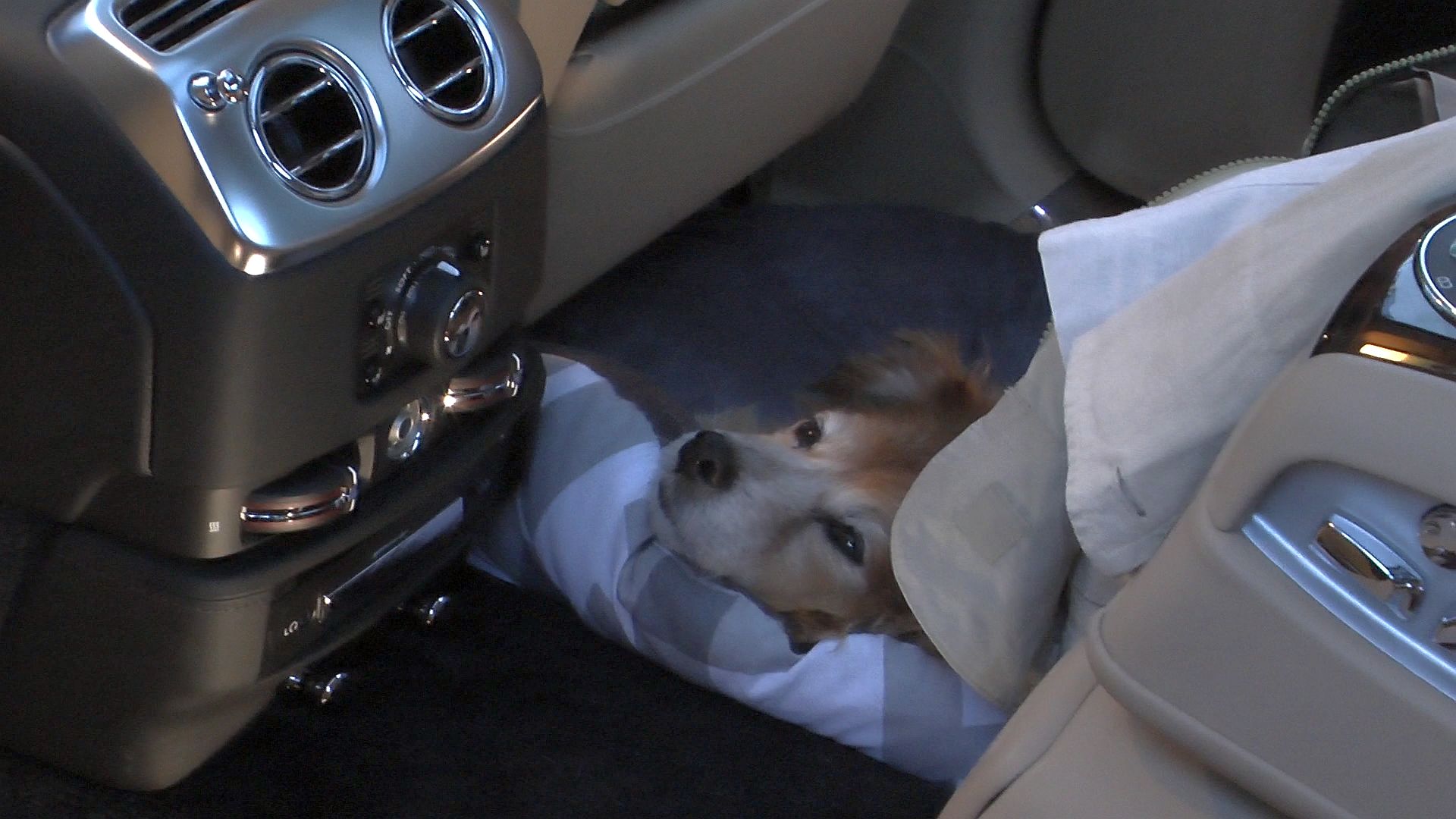 Club Der Optimisten Pointierter Fruhjahresbrunch Mit Henryk M Broder